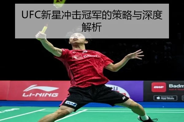 UFC新星冲击冠军的策略与深度解析